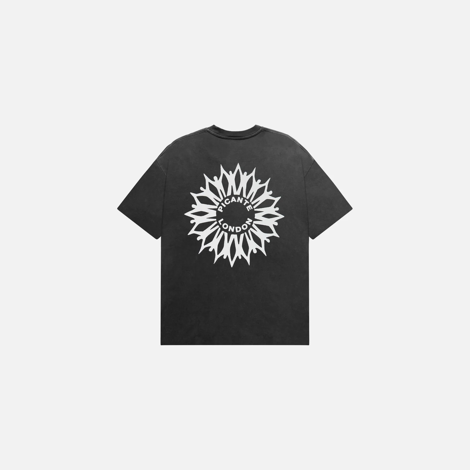 Solar T Shirt Solar T Shirt